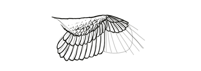 how to draw chibi wings