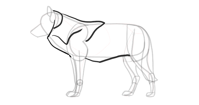 comment-dessiner-des-loups-dessin-processus-10
