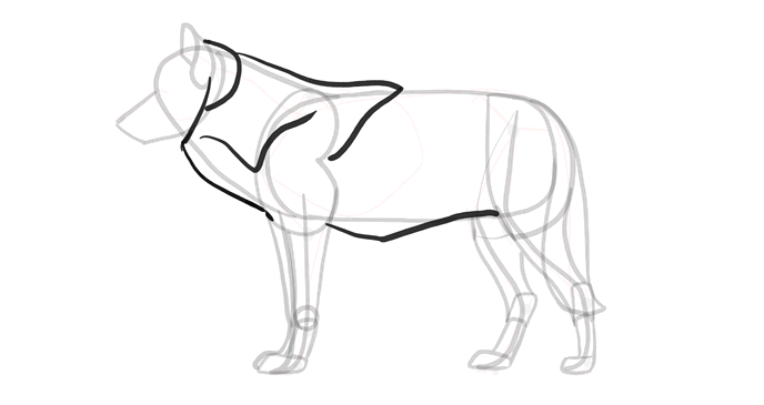 how-to-draw-wolves-drawing-process-10