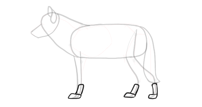 comment-dessiner-des-loups-dessin-processus-6