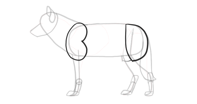 comment-dessiner-des-loups-dessin-processus-8