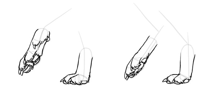 how-to-draw-wolves-feet-6