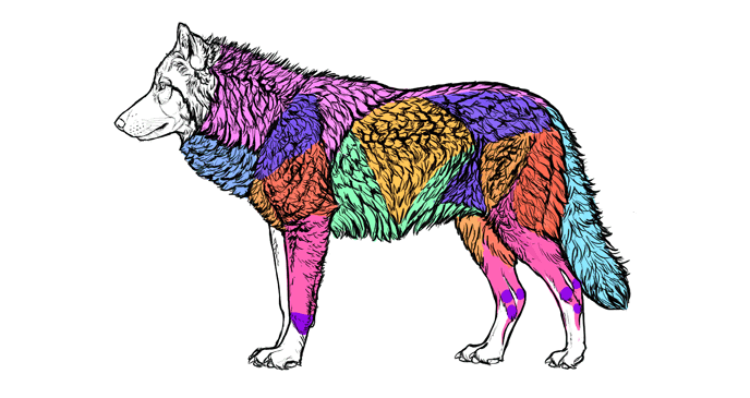 how-to-draw-wolves-fur-areas
