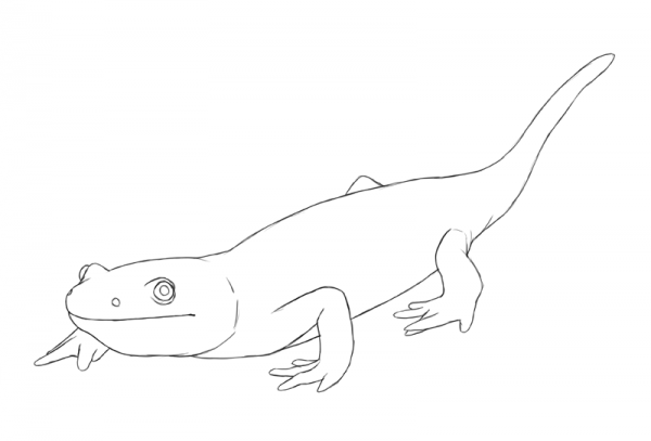 Drawing 101 How To Draw Form And Volume Monika Zagrobelna