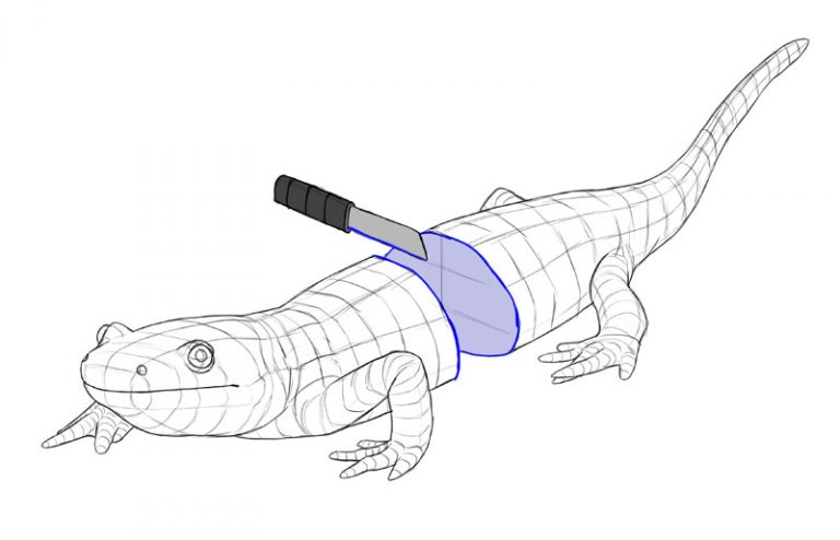 Drawing 101 How To Draw Form And Volume Monika Zagrobelna