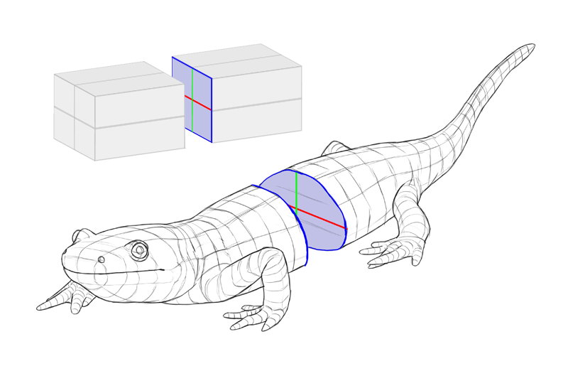 how to draw 3d animals