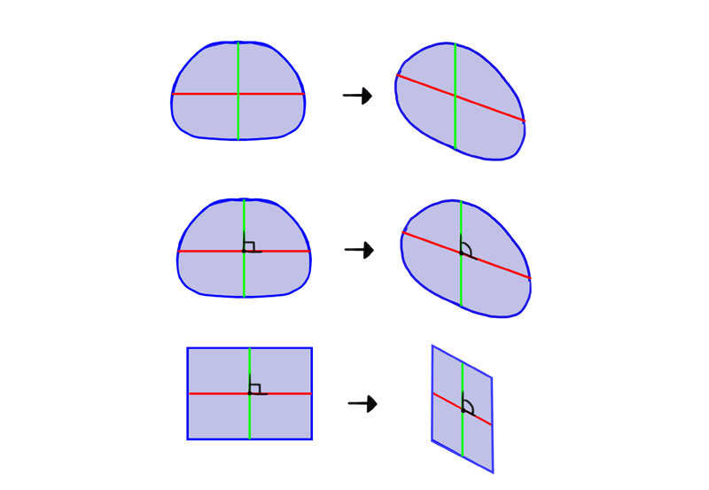 Drawing 101 How to Draw Form and Volume Monika Zagrobelna