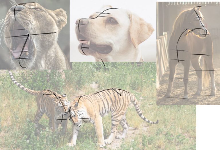 Drawing 101: How to Draw Form and Volume – Monika Zagrobelna