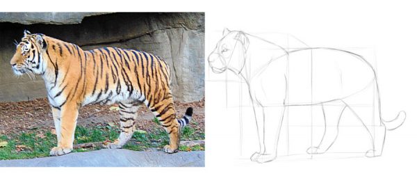 Drawing 101: How to Draw Proportions – Monika Zagrobelna