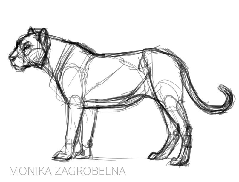 sketch of a big cat