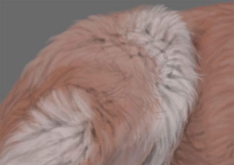 How to Paint Fur with Ambient Light Monika Zagrobelna