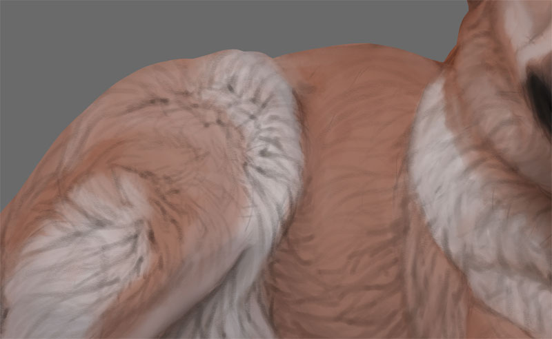 how to paint fur details