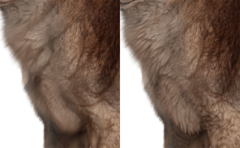 add detail to the fur