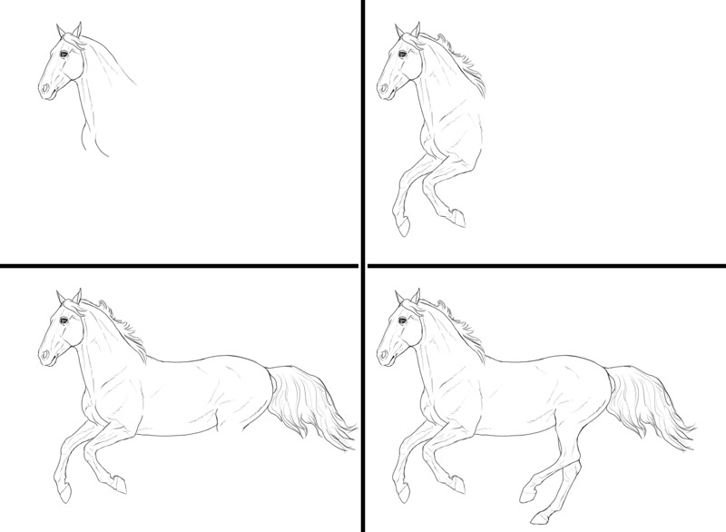 example of drawing process