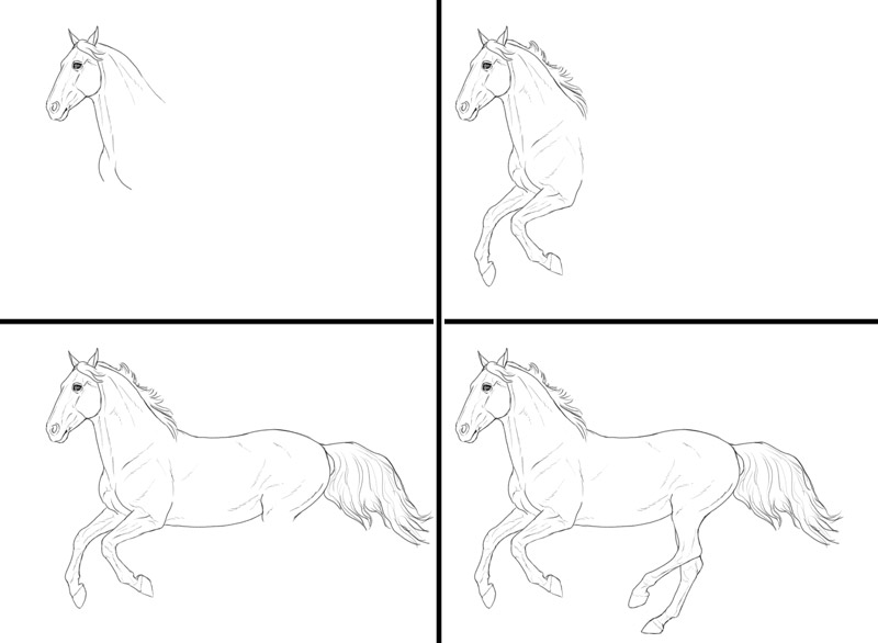 Horse Drawing Step by Step - Art Starts