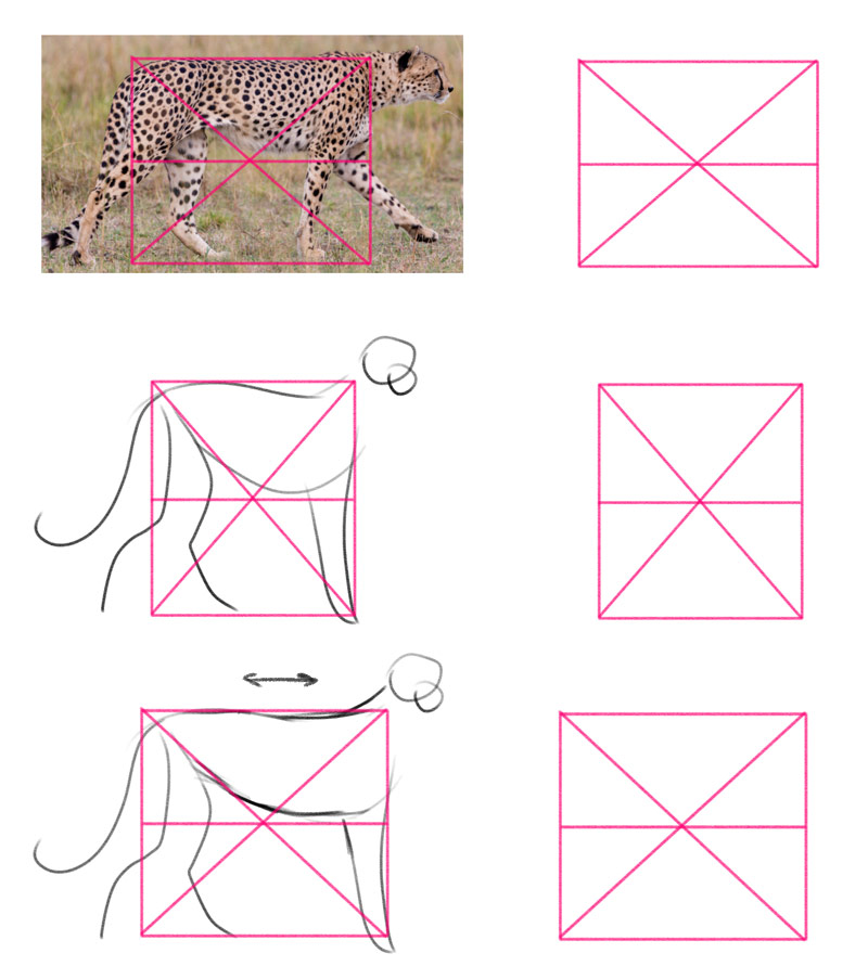 how to fix proportions in drawing