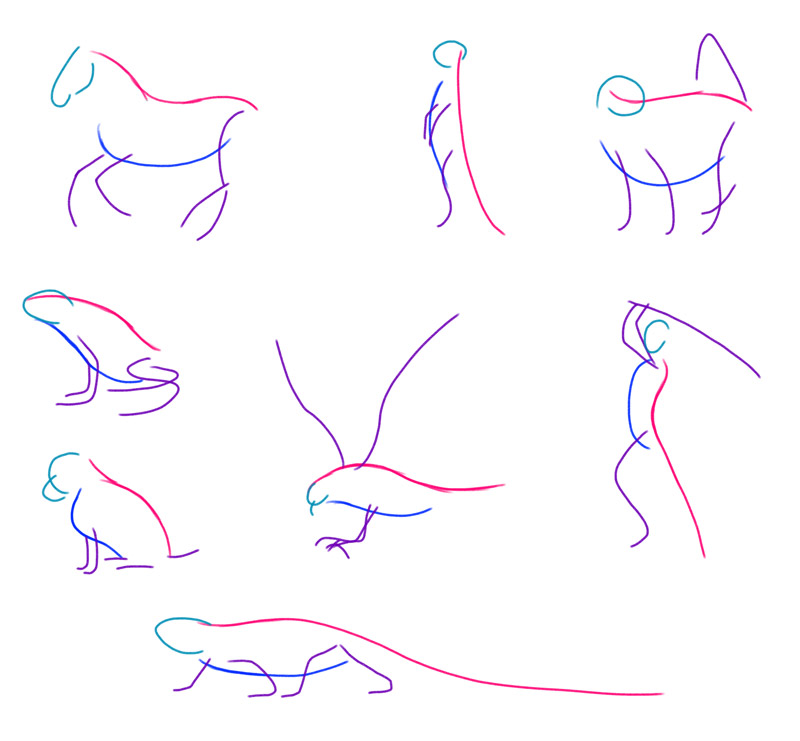 gesture lines