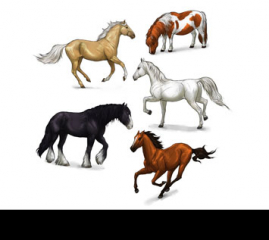 SketchBook Original: How to Draw Horses