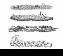 How to Draw Grass, Ground, and Rocks