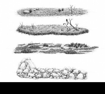 How to Draw Grass, Ground, and Rocks