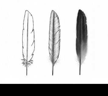 How to Draw Feathers