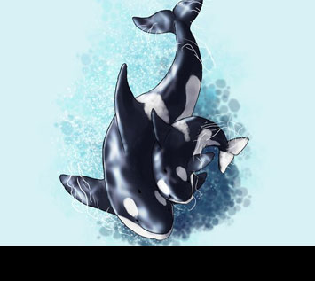 How to Draw Animals: Dolphins, Whales, and Porpoises