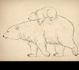 How to Draw Animals: Bears and Pandas, and Their Anatomy
