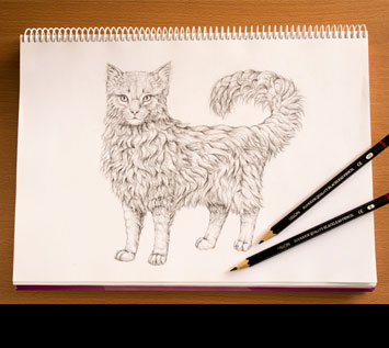 How to Draw Animals: Quickly Render Fur