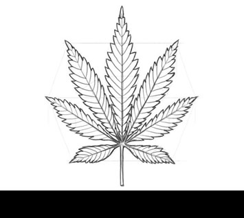 How to Draw a Pot Leaf