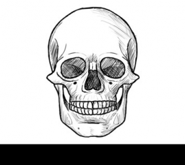 How to Draw a Skull