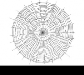 How to Draw a Spider Web Step by Step