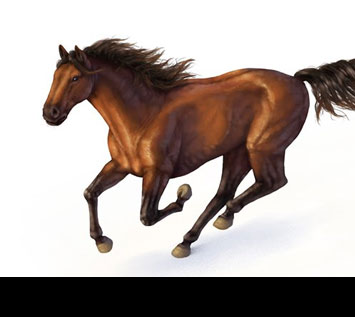Apply Your Color Theory Lessons into Painting a Horse