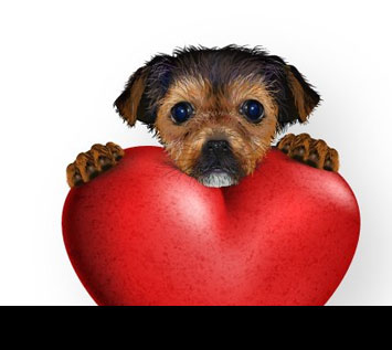 How to Create a Cute Valentine's Puppy with Gradient Mesh