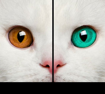 How to Change Eye Color in Photoshop