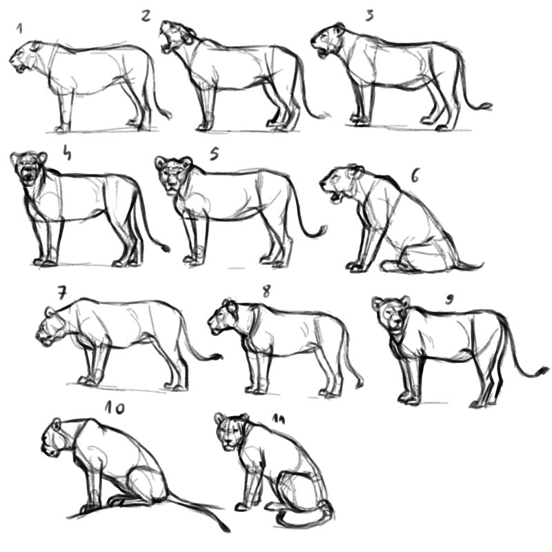 lion poses