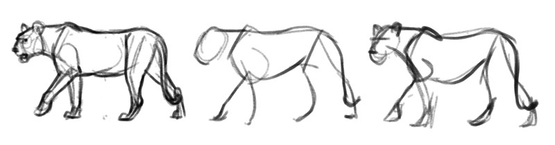 Animal Drawing References #31 - 15x2min poses - Goat - YouTube