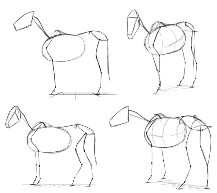 simplified skeleton horse examples