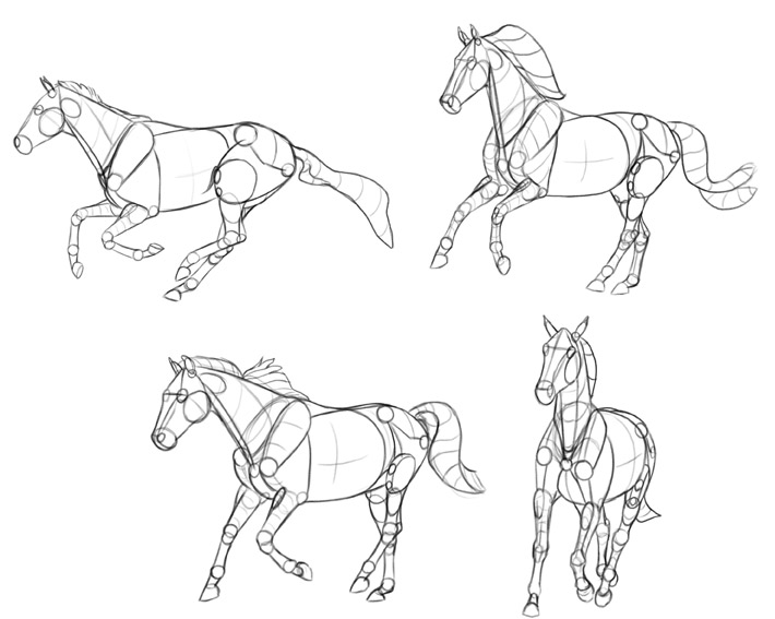 simplified body horse