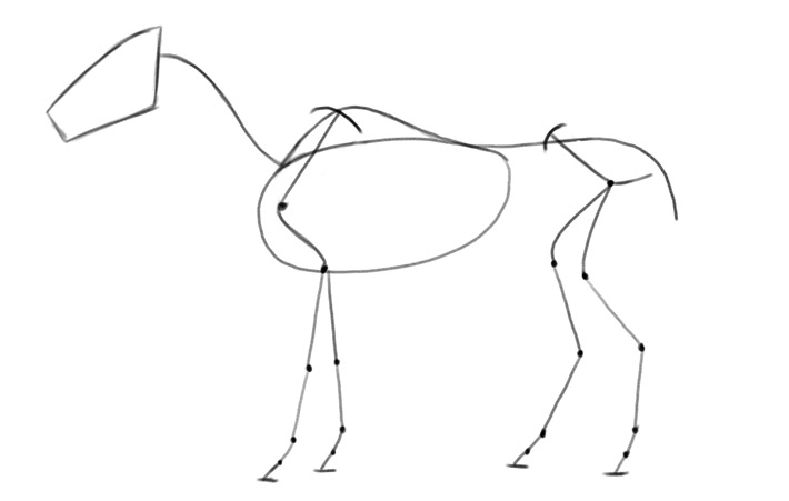 horse skeleton simplified