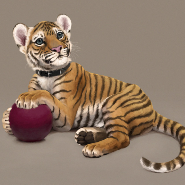 cute tiger cub drawing