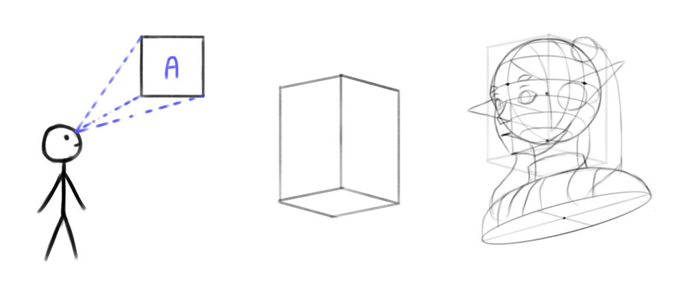how to draw head from below