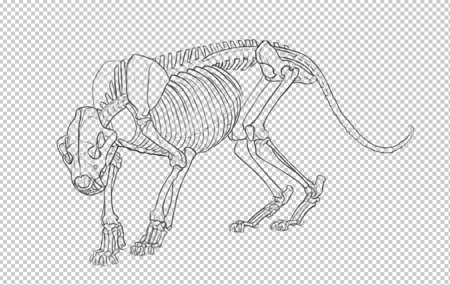 image with background removed