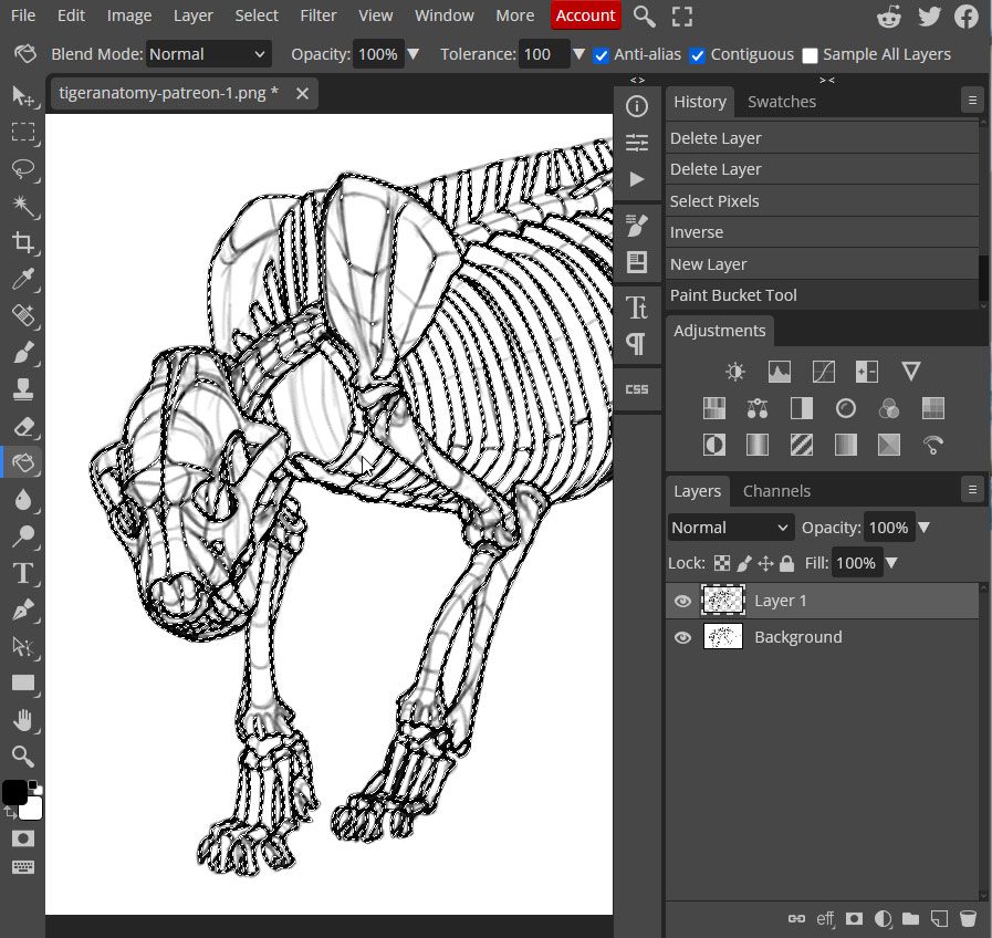use the paint bucket tool