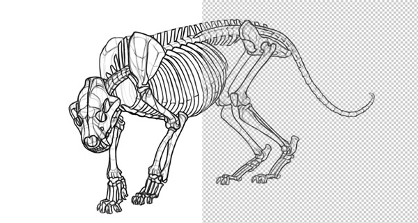 remove white background tutorial