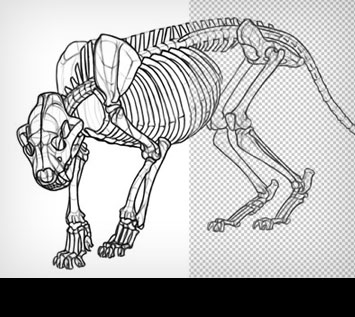 How to Remove White Background from Lineart